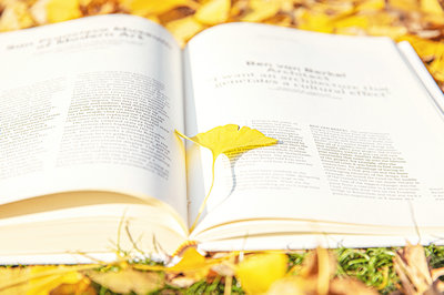 南開(kāi)大學(xué)在職研究生 南開(kāi)大學(xué)在職研究生